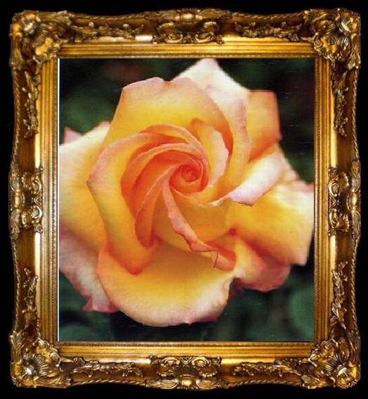 framed  unknow artist Still life floral, all kinds of reality flowers oil painting  347, ta009-2